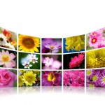 3D photo gallery