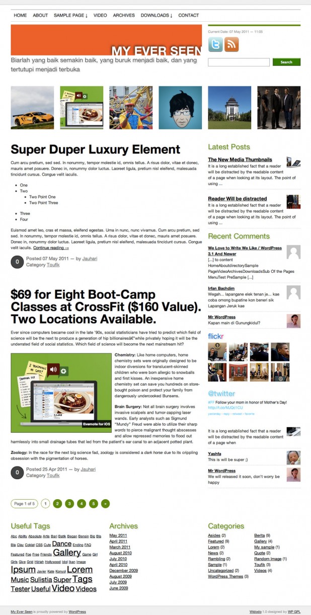 Widodo WordPress Theme Screenshot Widodo WordPress Theme Screenshot